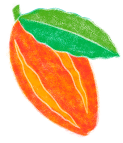 cacau